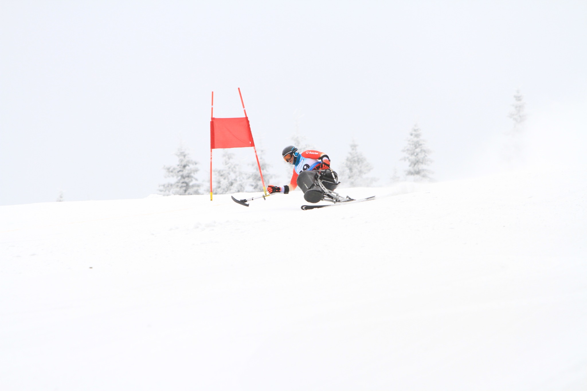 Une piste dans un paysage hivernal